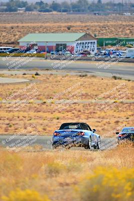 media/Nov-16-2024-Extreme Speed (Sat) [[6587d07cc4]]/Purple Group/Session 1 (Turn 2)/